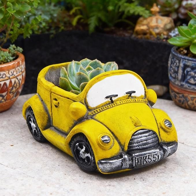 Cute Cacti & Succulent Plants Pot, Succulent Decor Planter Pot Indoor/Outdoor - Image 7