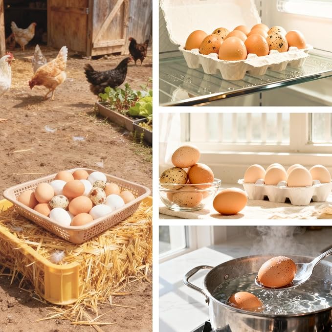 Egg Washer Cleaner for Fresh Eggs, Universal Egg Wash and Brush Scrubber for - Image 4