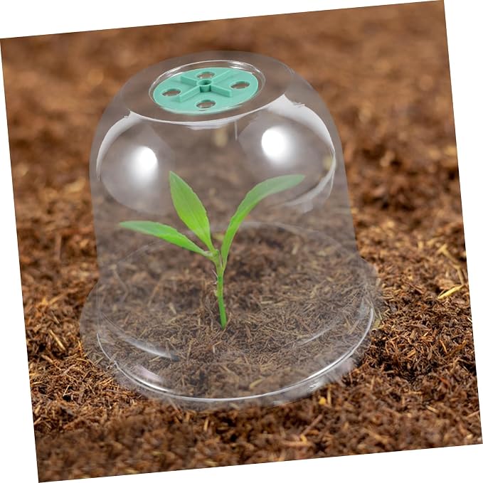 2pcs Small Garden Cloche Clear Plastic Humidity Domes - Image 4
