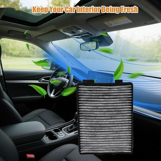 Air & Cabin Filter Cabin Air Filter - Image 6