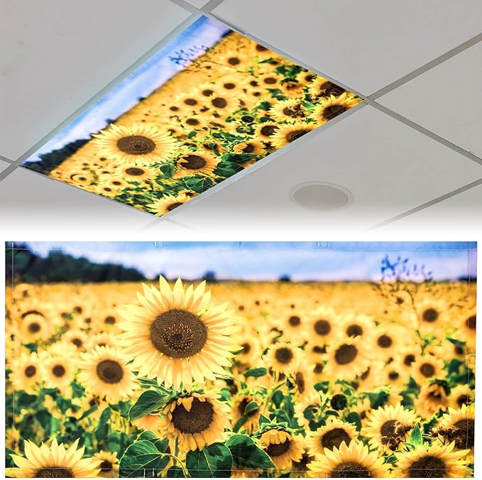 Patelai 4 x 2 Feet Fabric Fluorescent Light Cover by Patelai
