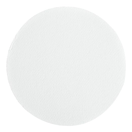 Whatman 10411413 White PTFE Membrane Filter Circle, 50mm Diameter, 0.2 Micron by Whatman