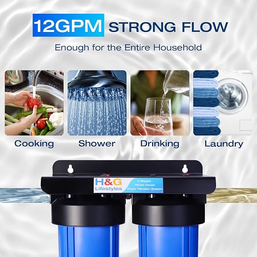 H&G Lifestyles Whole House Water Filter System, Iron Filter - Image 3