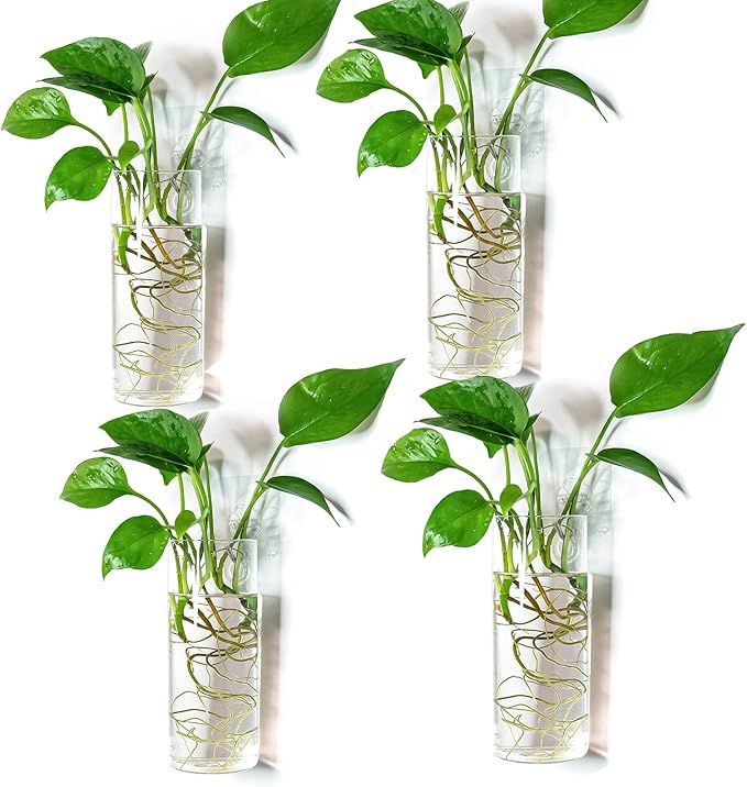 Kingbuy Short Cylinder Wall Planter 4 Pack, air plants, cuttings. Great gift by Kingbuy