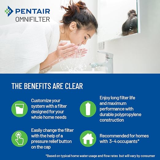 Pentair OMNIFilter Whole Home 10" Heavy-Duty Big Blue Water Filtration System - Image 6