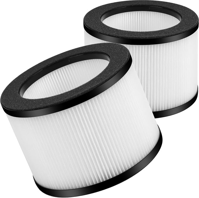 2-Pack VF10 Replacement Filter Compatible by GoKBNY