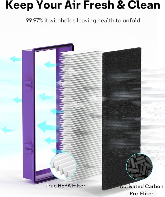 Leemone HAPF30AT-Total Aer1 Filter Replacement - Image 3
