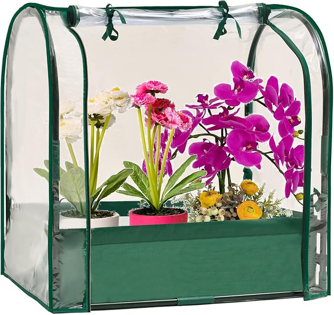 Mini Tabletop Garden Greenhouse Nursery Plant Cover Tent Humidity Domes by Purlyugreenhouse