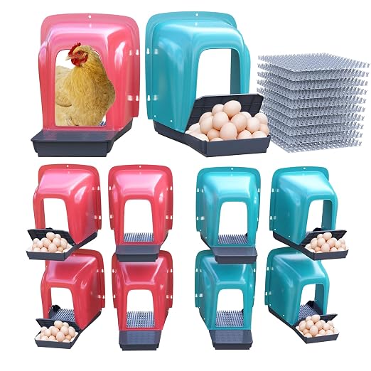 Nesting Boxes for Chickens by Unknown
