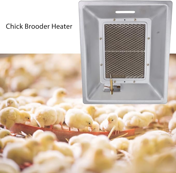 Chick Gas Brooder Heater, Chicken Coop Heater, Manual Infrared Ceramics - Image 9