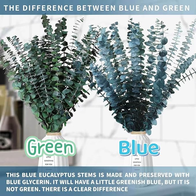 17 Pcs-Blue-Green-Dried-Preserved-Eucalyptus-Stems, Natural Live Eucalyptus - Image 6