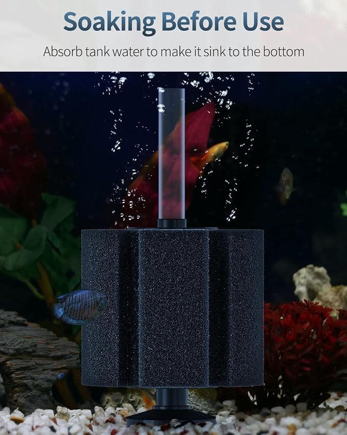 Pawfly Aquarium Large Bio Sponge Filter Quiet Betta Fry Shrimp and Fish Foam - Image 7