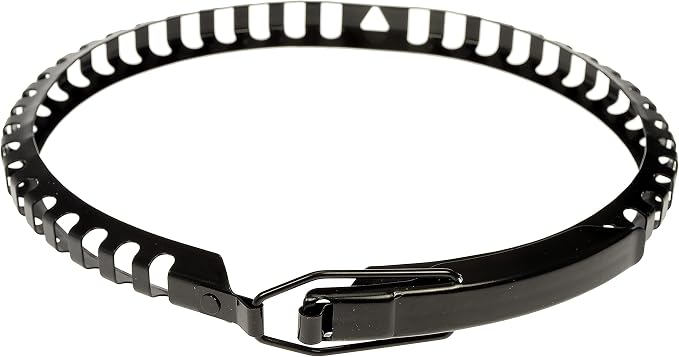 Dorman 41047 Air Filter Housing Clamp Compatible - Image 2