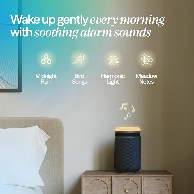 BLUEAIR Purifier for Bedroom - Image 5