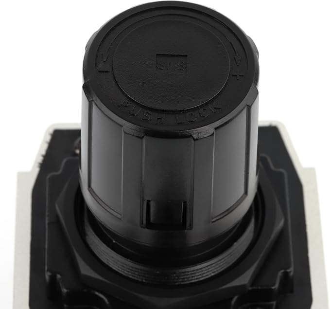 SNS Air Compressor Pressure Regulator - Image 9