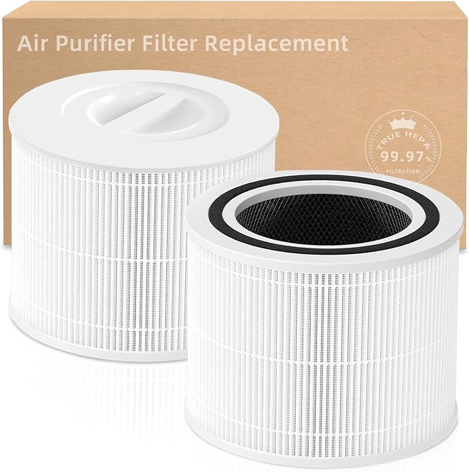 2-Pack Filter Replacement Compatible by Amboseli