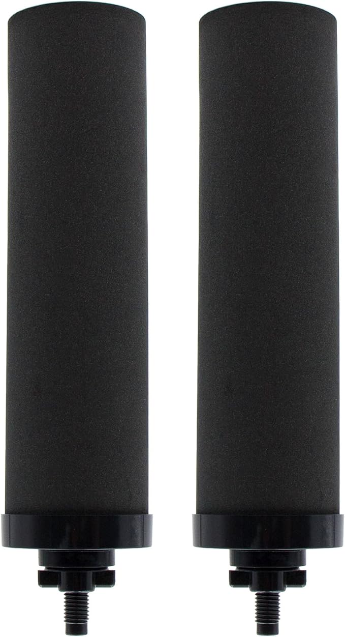 Water Filter Replacement for BB9-2® Black Activated Carbon Filters, Compatible by Renami