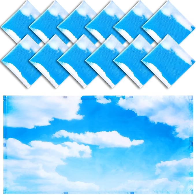 Hortsun 12 Pcs Fluorescent Light Covers Bulk, 4 x 2 ft Magnetic Fluorescent by Hortsun