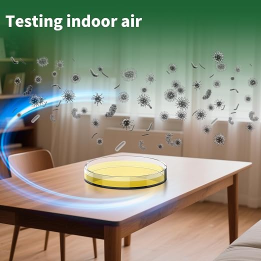 Mold Test Kit for Home - Image 4