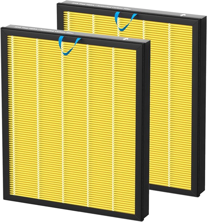 Vital 100S-P Replacement Filter by Colorfullife