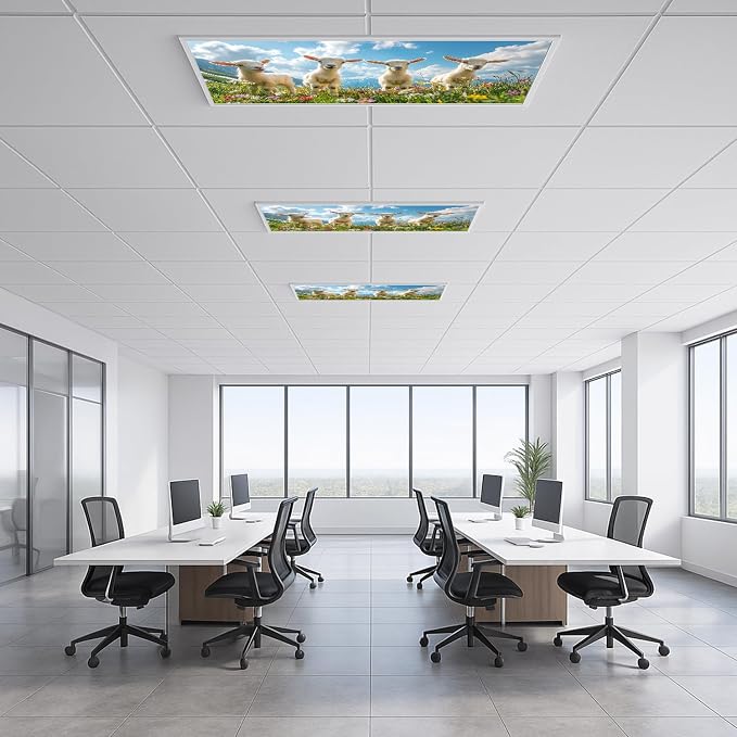 2 Pack Fluorescent Light Covers 4x2 ft Magnetic Light Covers - Image 6