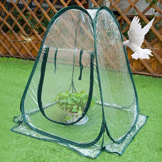 Portable Greenhouse Optimal Plant Growth - Image 5