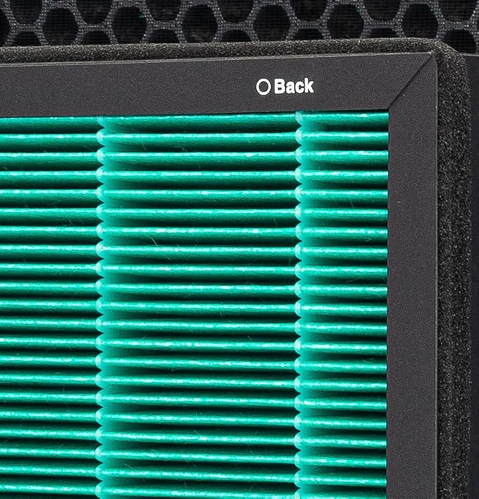 Filter Replacement Airmega 300 - Image 3