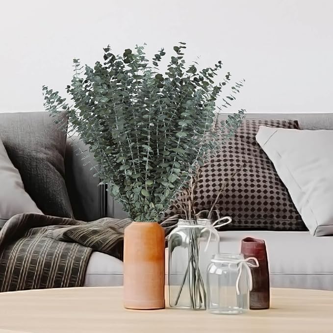 41 PCS Dried Preserved Eucalyptus Bundle - Image 6
