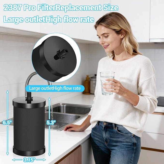 2387 Pro Filter Replacement Compatible - Image 6