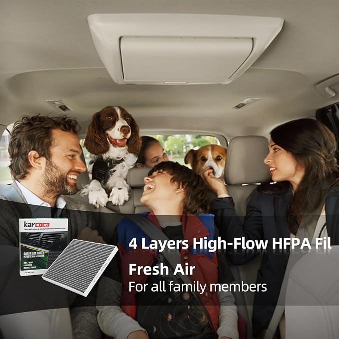 P609422 Cabin Air Filter With Activated Carbon Compatible with FREIGHTLINER - Image 6