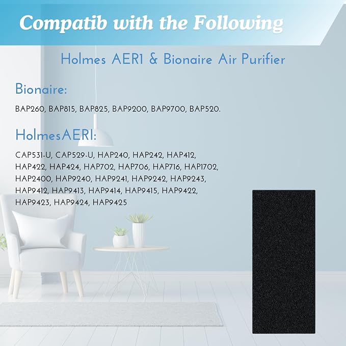 Nispira AER1 Filter Replacement Carbon Booster - Image 4