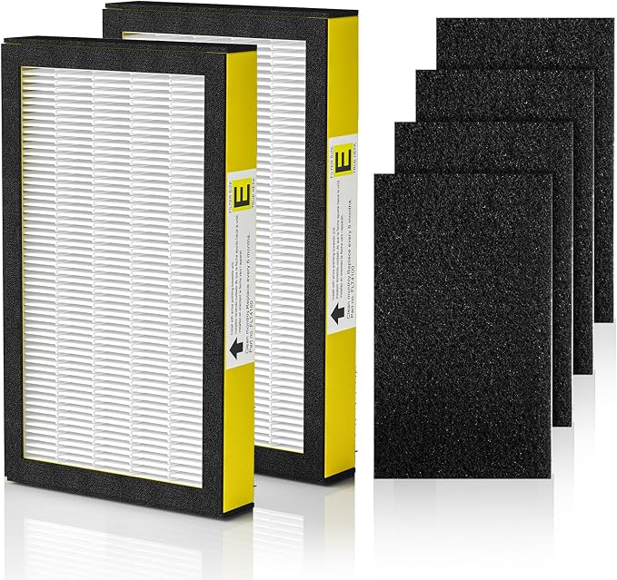 FLT4100 Replacement Filter E for Guardian AC4100, AC4150P Technologies Models by Cabiclean