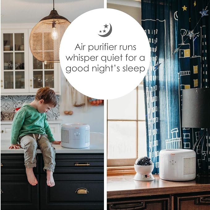 Crane HEPA Air Purifier, Air Purifiers - Image 5