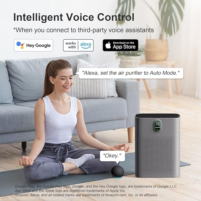 MORENTO Air Purifier for home Large Rooms up to 1076 ft2, Wi-Fi and Alexa - Image 3