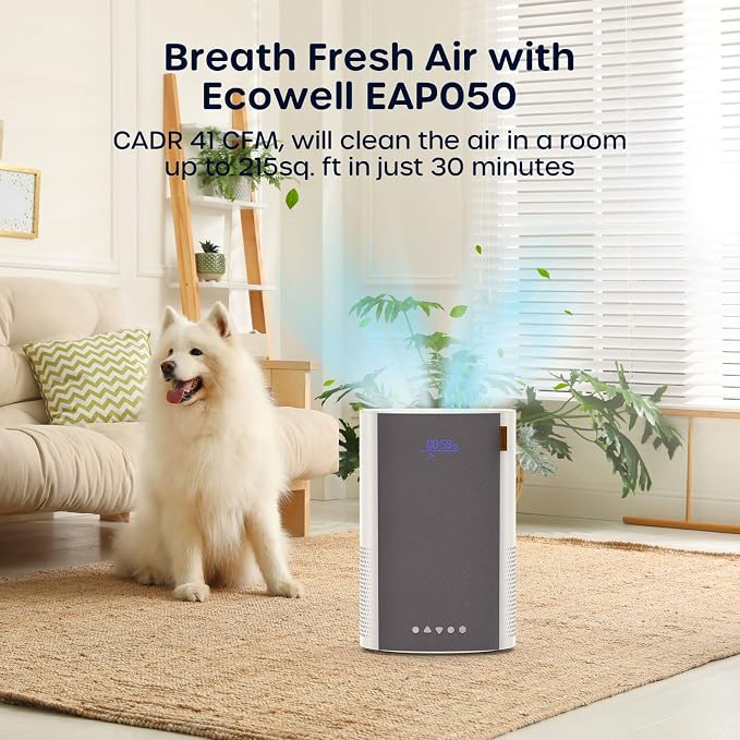 ECOWELL Air Purifiers for Bedroom, H13 HEPA Air Purifiers for Home Office - Image 2