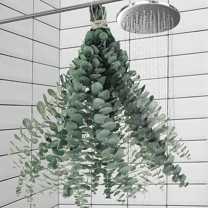 11 PCS Real Dried Eucalyptus Stem by Oning