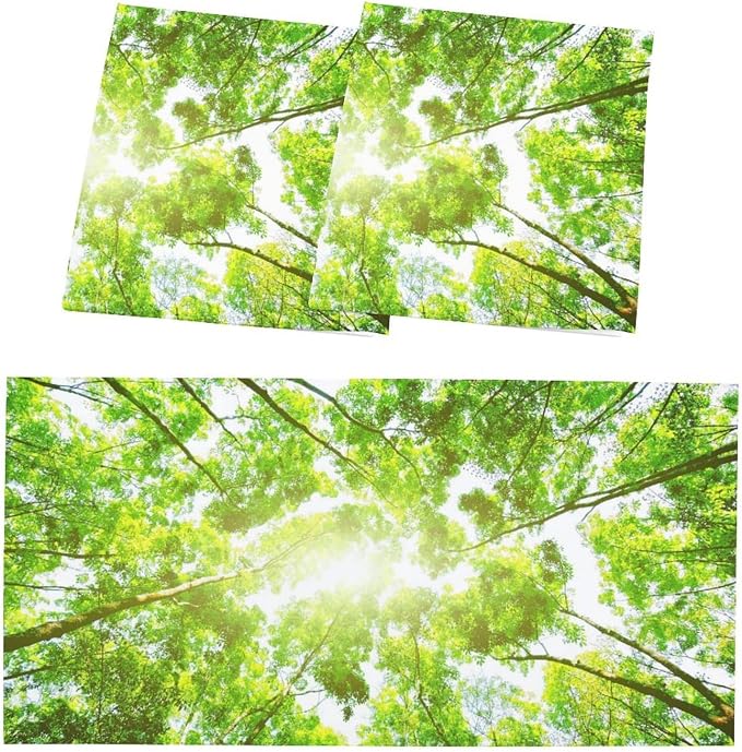 2PCS Fluorescent Light Covers for Classroom Ceiling - Image 2