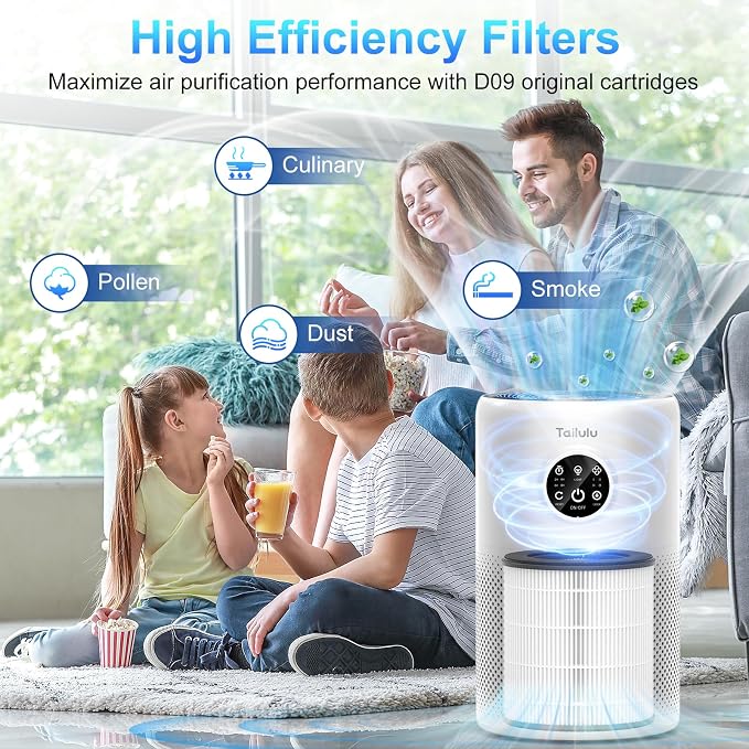 Tailulu 2 Pack D10 Replacement Filter, Air Purifier Filter - Image 6