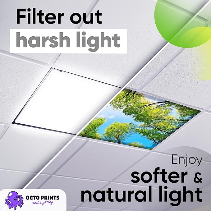 Fluorescent Light Covers for Ceiling Lights - Image 4