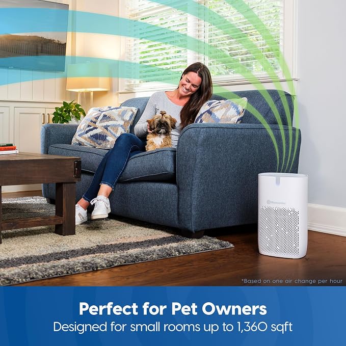 Vacmaster AP272 Upgrade Air Purifiers - Image 2