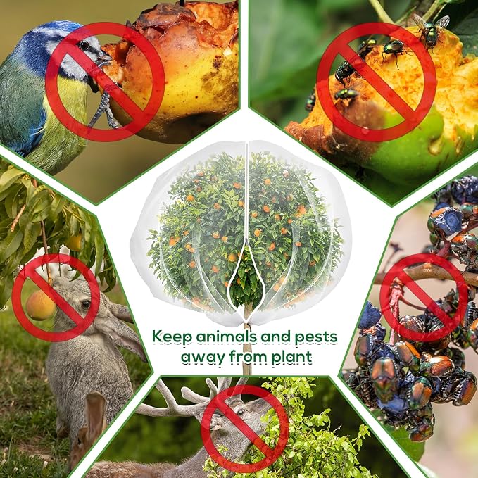 7.8 x 7.8 ft Large Fruit Tree Netting Cover - Image 4