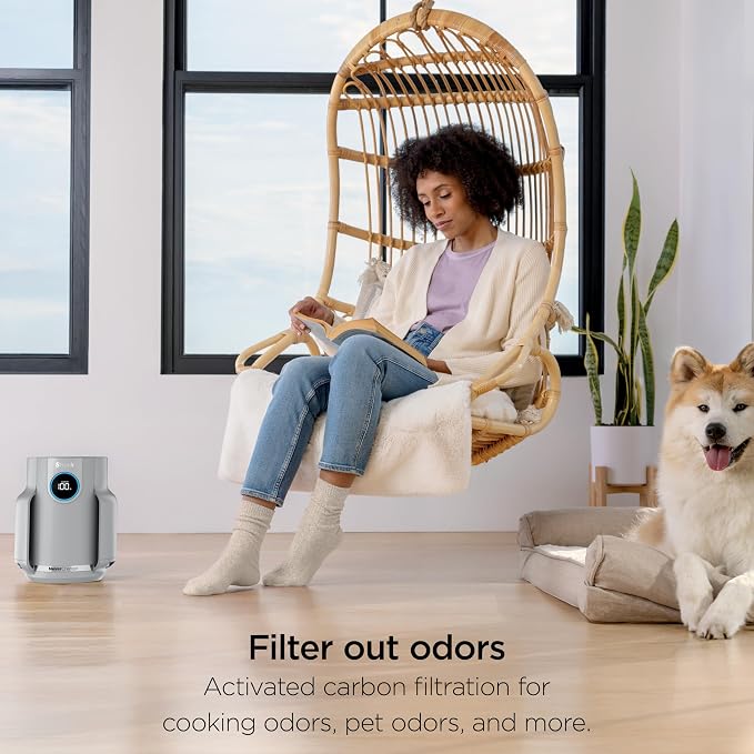 Shark Air Purifier for Home, NeverChange Compact Pro, 2 Pack, For Bedroom - Image 7