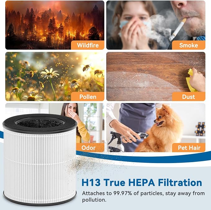 Tailulu Official AP050 AP052 Air Purifier Replacement Filter, 3-in-1 Air - Image 3