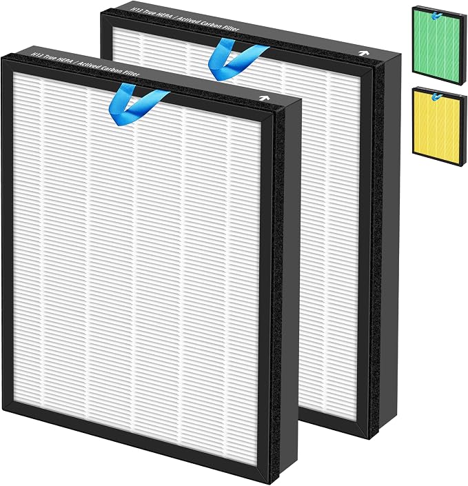 Vital 100S HEPA Replacement Filter by Pulluty