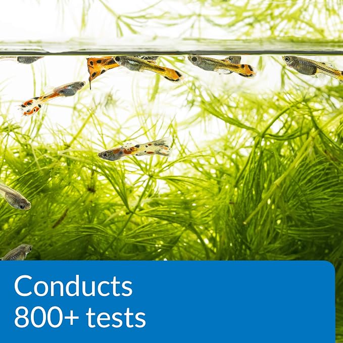 API FRESHWATER MASTER TEST KIT 800-Test Freshwater Aquarium Water Master Test - Image 7