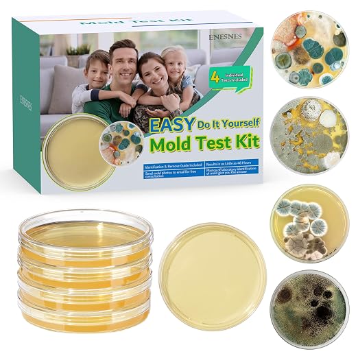 Mold Test Kit for Home by ENESNES