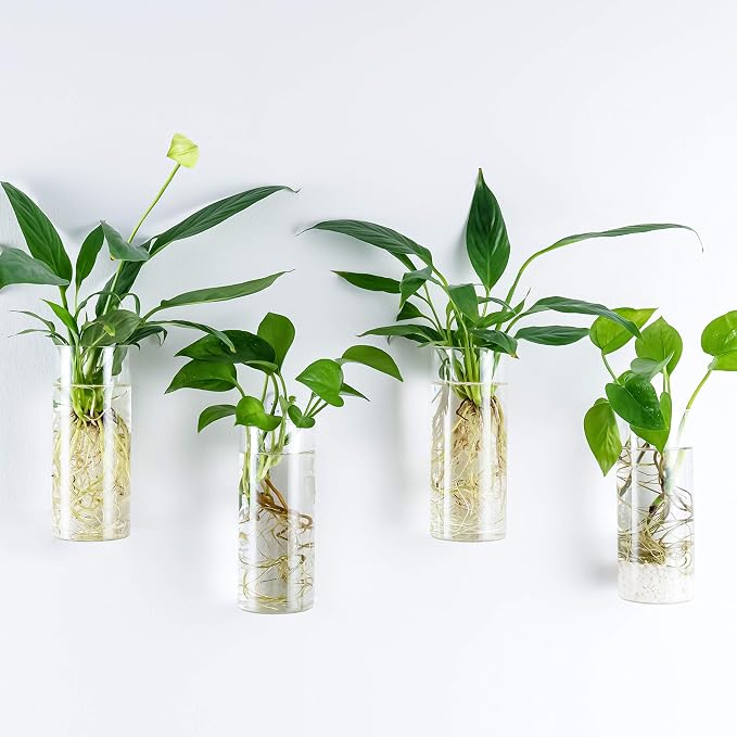Kingbuy Short Cylinder Wall Planter 2 Pack, air plants, cuttings. Great gift - Image 6