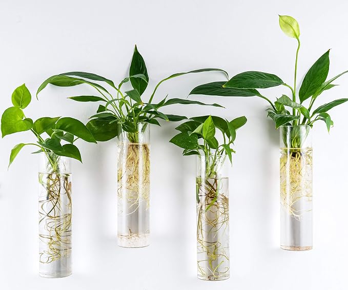Kingbuy Wall-Mounted Plant Terrarium Propagation Station - Image 5