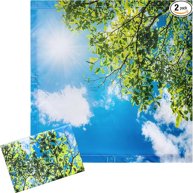Baquler 2 Pcs 2 x 2 ft Fluorescent Light Covers by Baquler