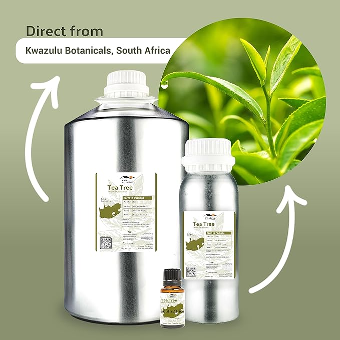 Tea Tree Essential Oil - Direct from Kwazulu Botanicals South Africa - Steam Distilled - Aceite Esencial de Árbol de Té for Aromatherapy, Diffuser, DIY Candle and Soap Making - 22lbs